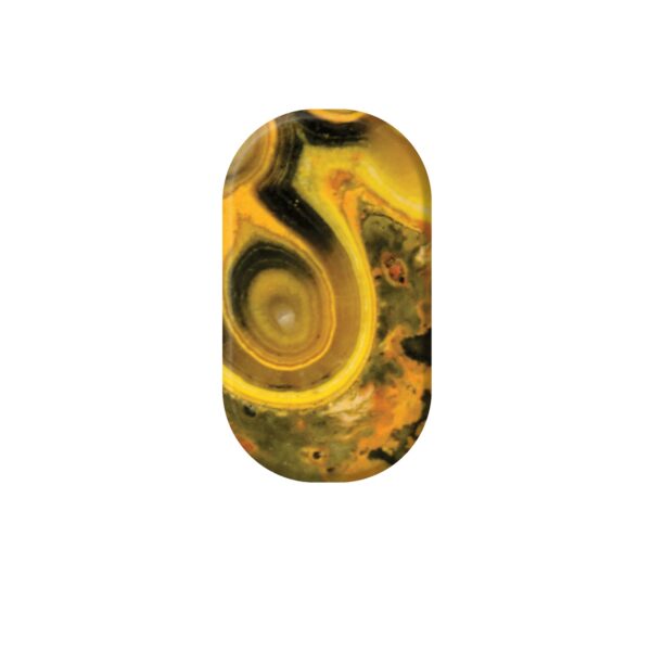 Bumble_Bee_Jasper_2 Bumble Bee Jasper