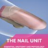 The Nail Unit