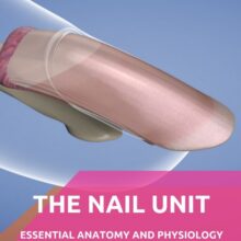 The Nail Unit