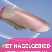 Het Nagelgebied