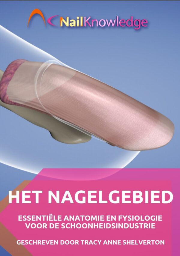 The Nail Unit