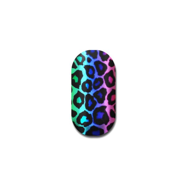 Leopard Sorbet - Kimmie Kyees