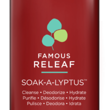 Soak-A-Lyptus 946ml