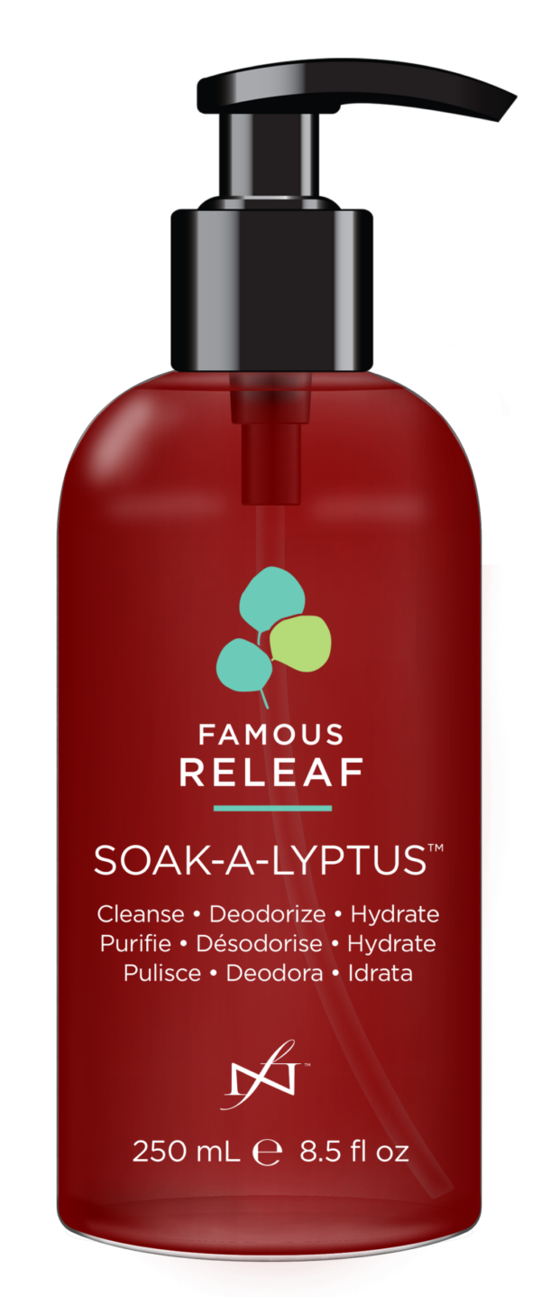 Soak-A-Lyptus 250ml